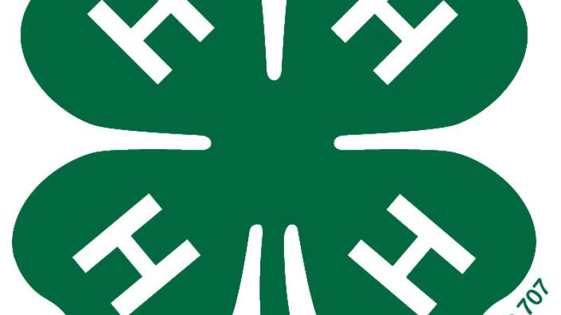 4-H Clover
